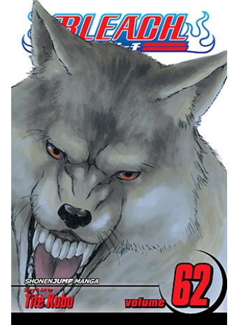 Bleach, Vol. 62 