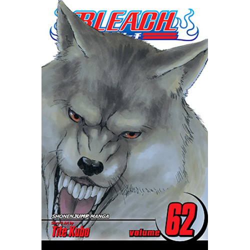 Bleach, Vol. 62 