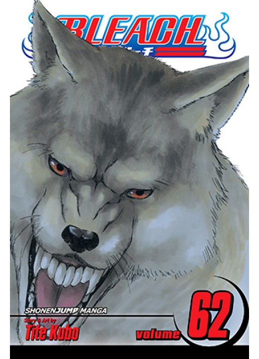 Bleach, Vol. 62 