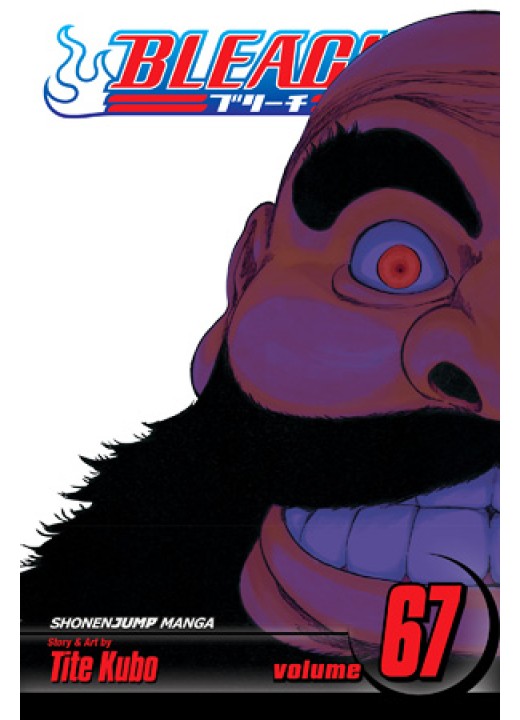 Bleach, Vol. 67 