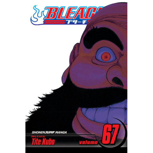 Bleach, Vol. 67 