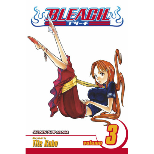 Bleach, Vol. 3 