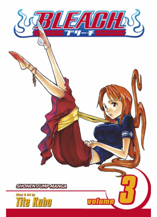 Bleach, Vol. 3 
