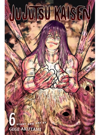 Jujutsu Kaisen, Vol. 6 Jujutsu Kaisen, Vol. 6