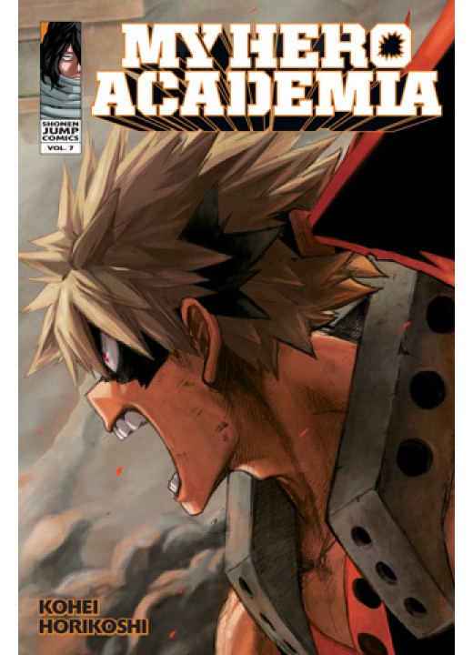 My Hero Academia, Vol. 7