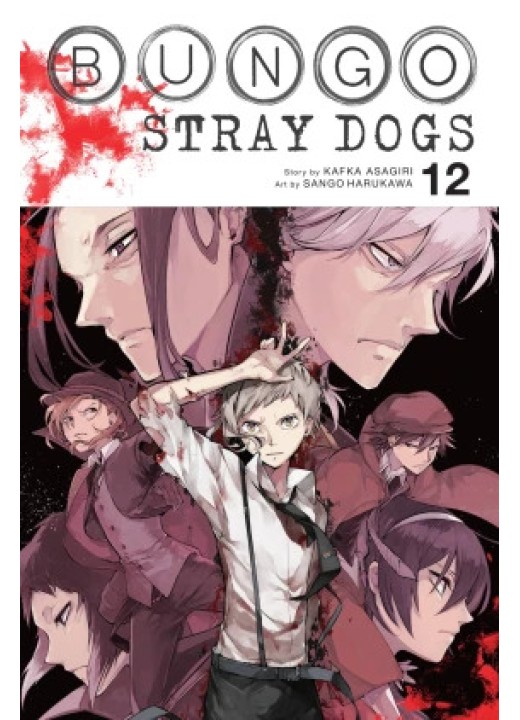 Bungo Stray Dogs, Vol. 12