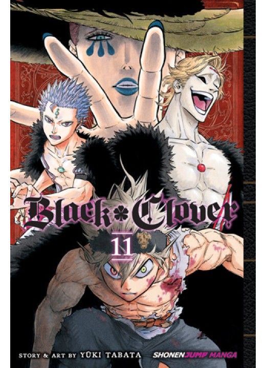 Black Clover, Vol. 11