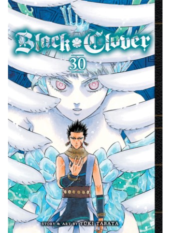 Black Clover, Vol. 30