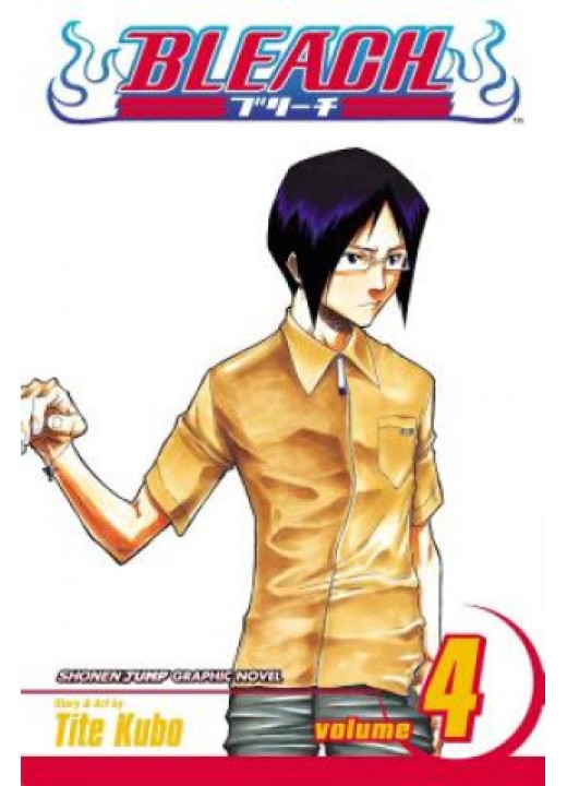 Bleach, Vol. 4