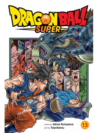 Dragon Ball Super, Vol. 13
