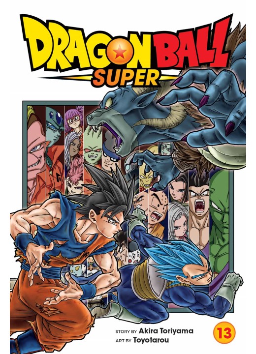 Dragon Ball Super, Vol. 13