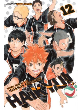 Haikyuu!! Vol. 12