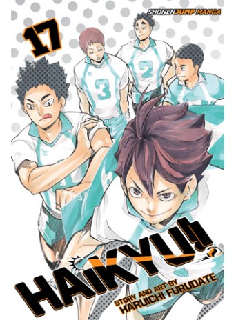Haikyuu!! Vol. 17