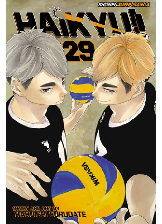 Haikyuu!! Vol. 29