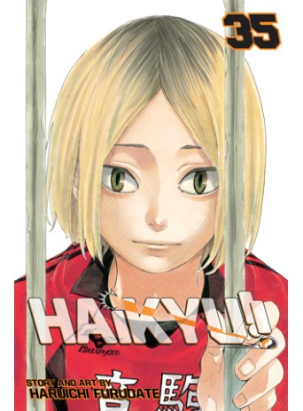 Haikyuu!! Vol. 35