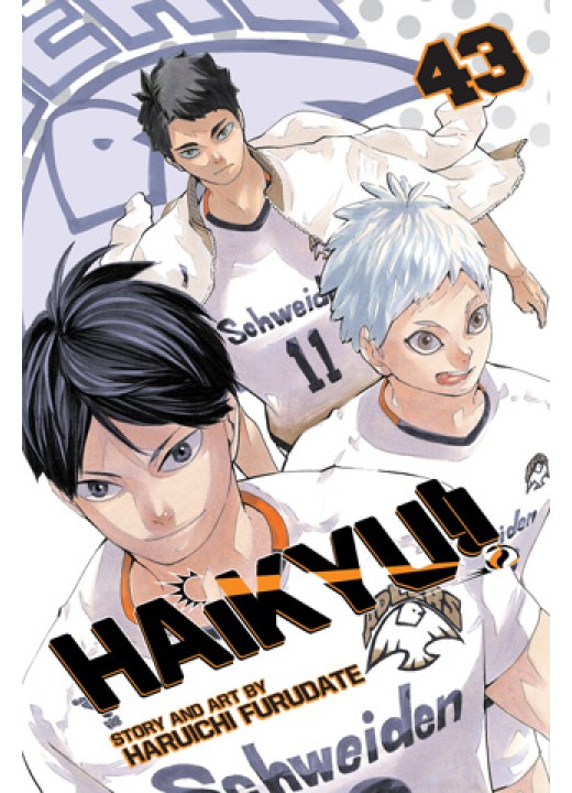 Haikyuu!! Vol. 43