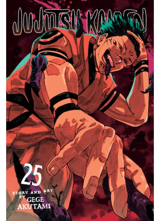 Jujutsu Kaisen, Vol. 25
