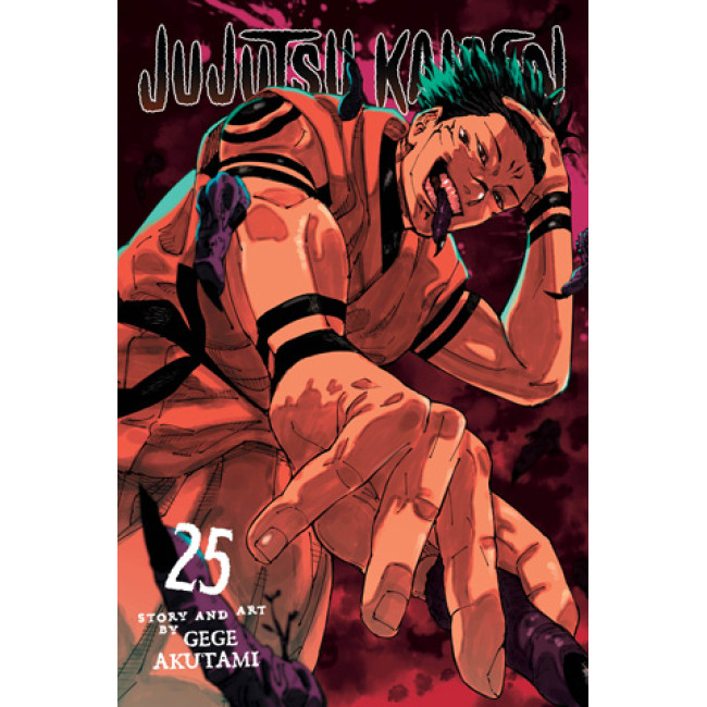 Jujutsu Kaisen, Vol. 25
