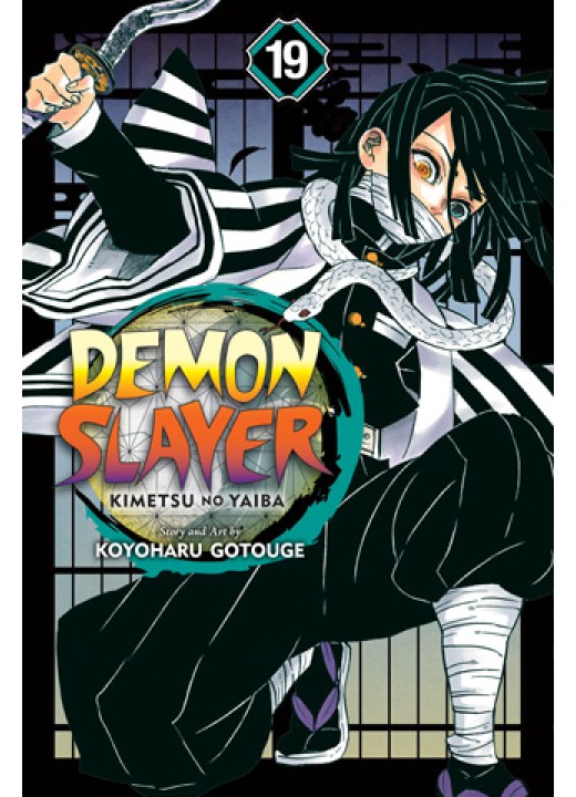 Demon Slayer: Kimetsu no Yaiba, Vol. 19
