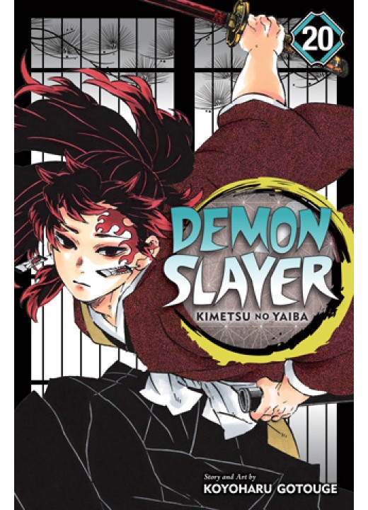 Demon Slayer: Kimetsu no Yaiba, Vol. 20