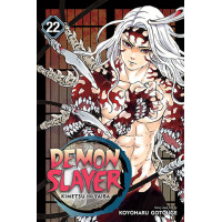 Demon Slayer: Kimetsu no Yaiba, Vol. 22