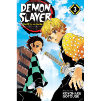 Demon Slayer: Kimetsu no Yaiba, Vol. 3 Demon Slayer: Kimetsu no Yaiba, Vol. 3