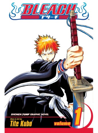 Bleach, Vol. 1