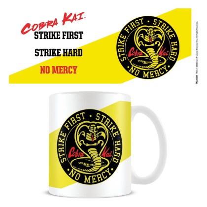 Cobra Kai No Mercy